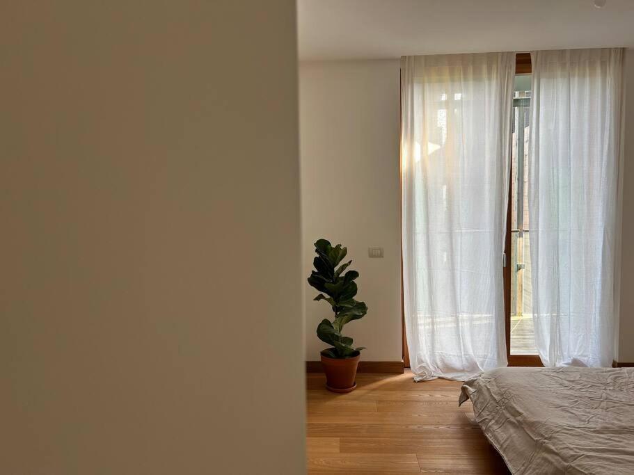 Casa Alegria Apartment Trento Exterior foto
